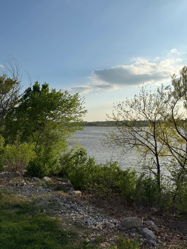 Image uploaded by Tigran