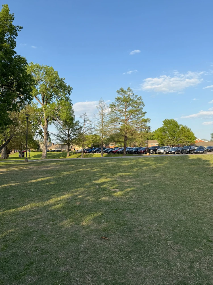 Image uploaded by Tigran