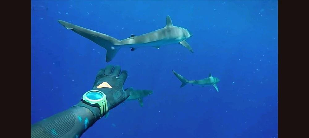 GIF uploaded by Ryan