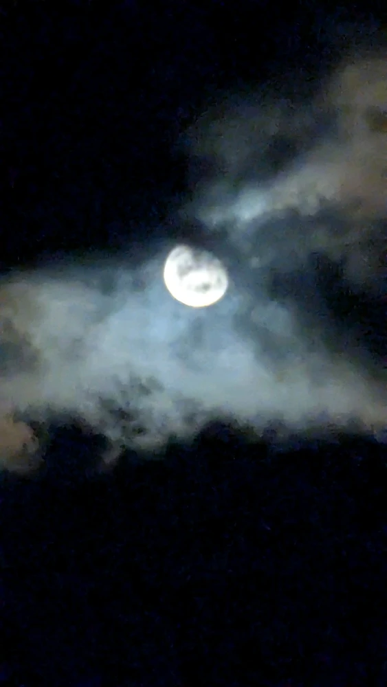 GIF subido por JoeCool