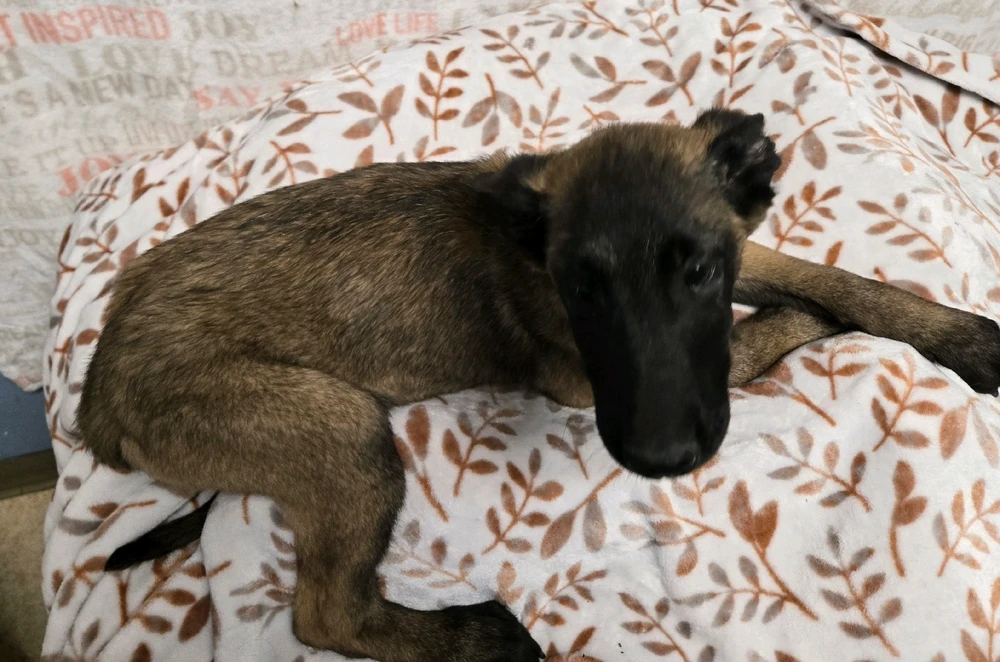 GIF uploaded by Jesus