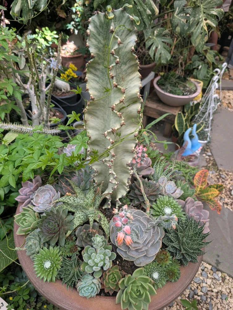 GIF diunggah dening Aviv