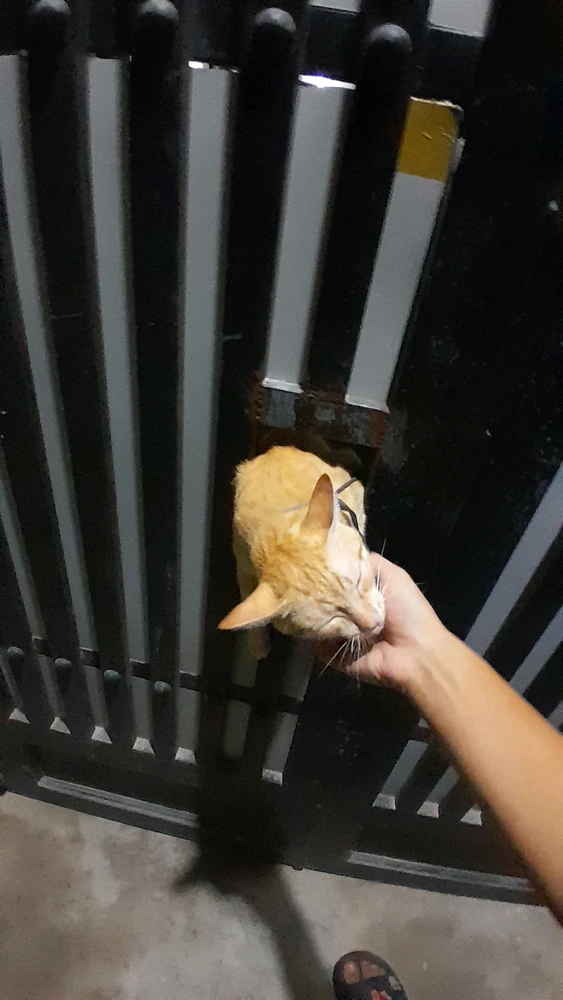 Ảnh do Tú tải lên