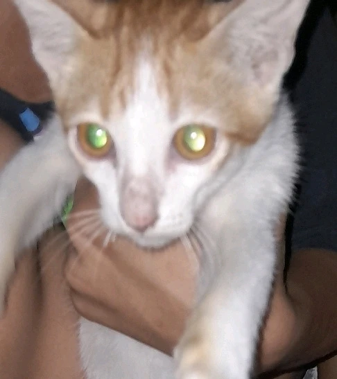 Ảnh do Tú tải lên