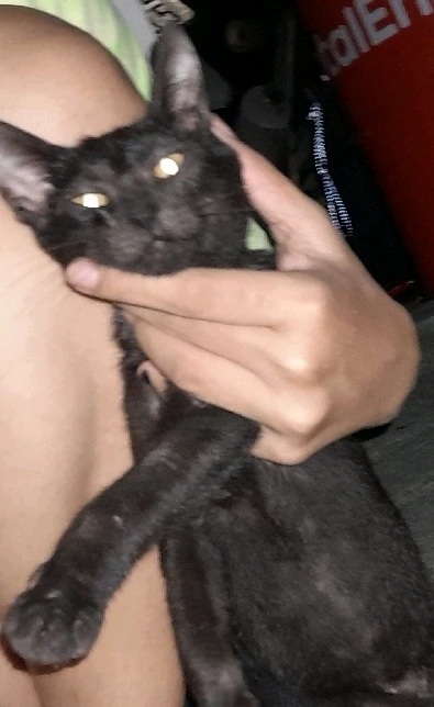 Ảnh do Tú tải lên