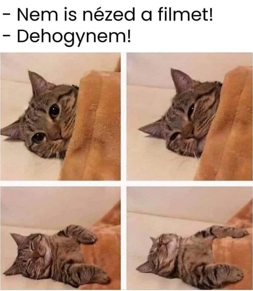 Máté által feltöltött kép