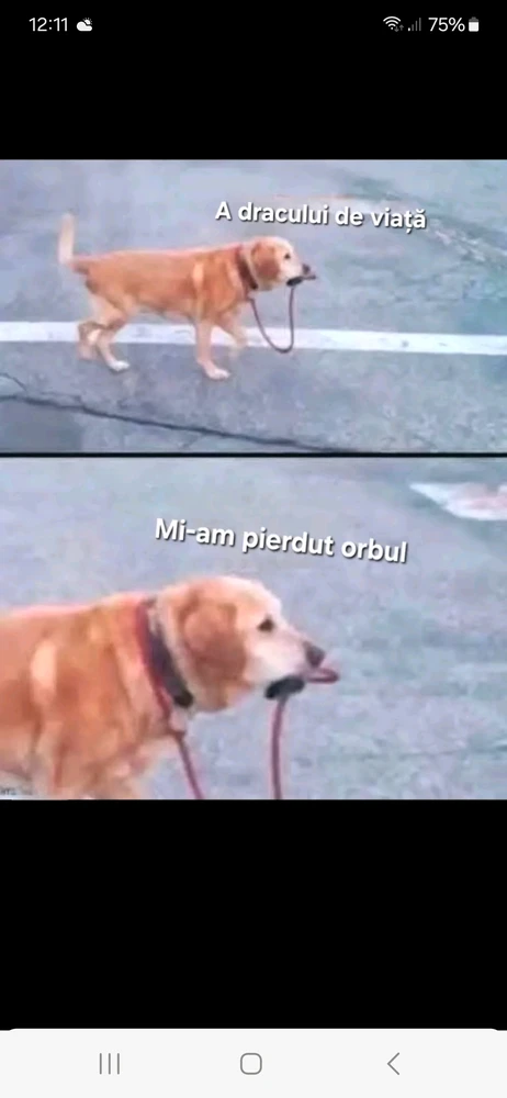 GIF încărcat de Aurel