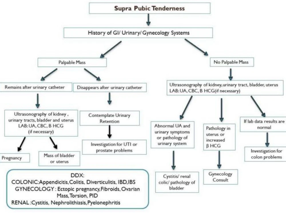 Gambar diunggah dening Ali