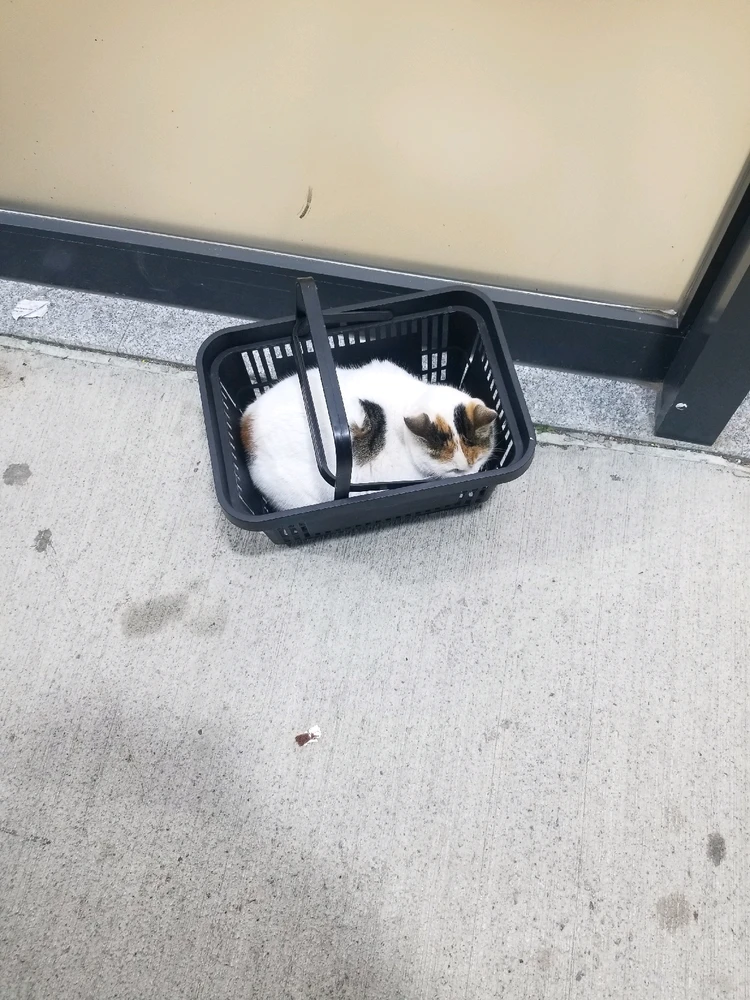 Recep uyar tarafından yüklenen GIF