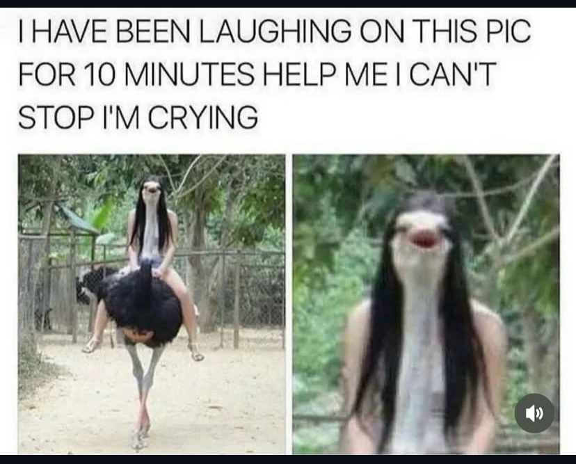 GIF uploaded by Mademoiselle Amy