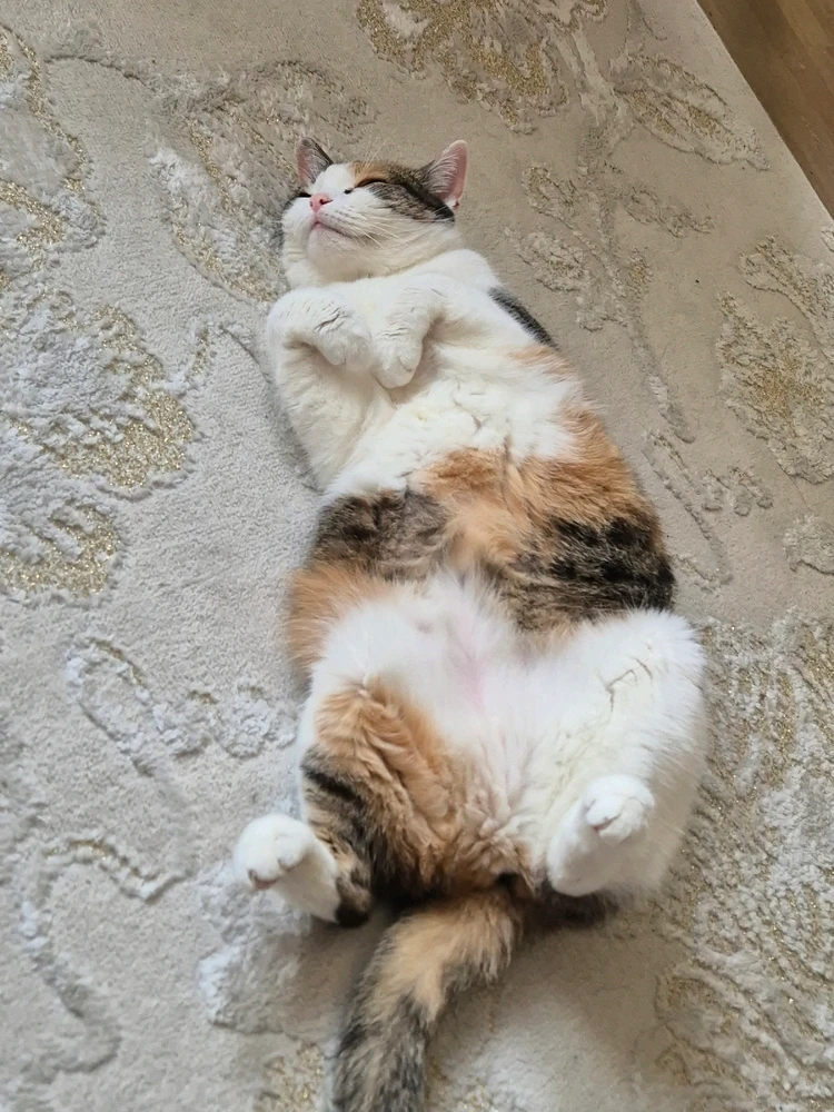 GIF dodany przez Monika