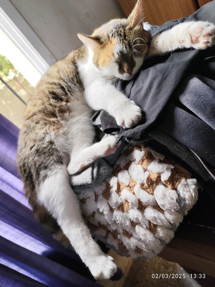 GIF subido por Fernando