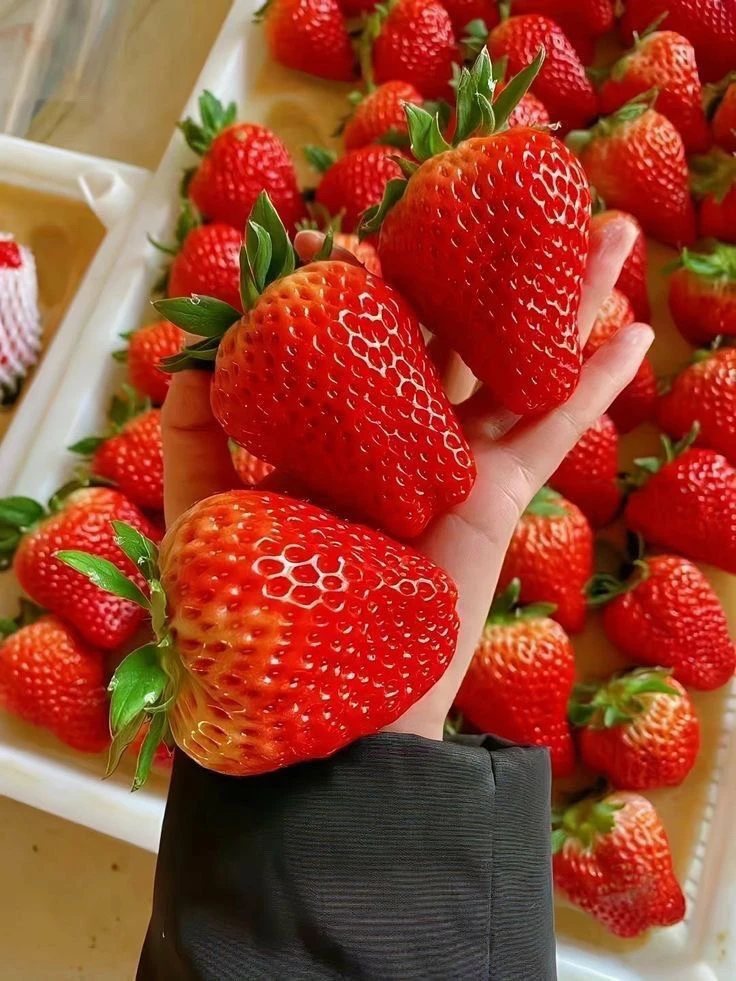 GIF uploaded by Melyn J.