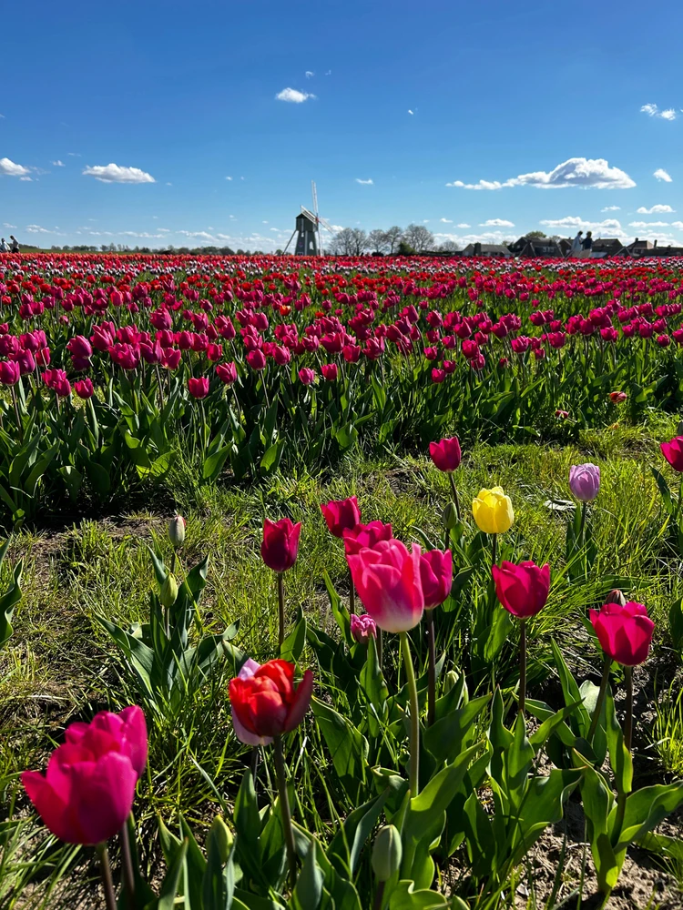 Gambar diunggah dening Shelley