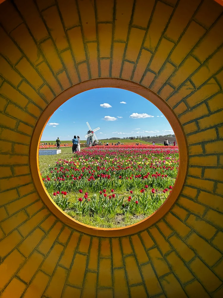 Gambar diunggah dening Shelley