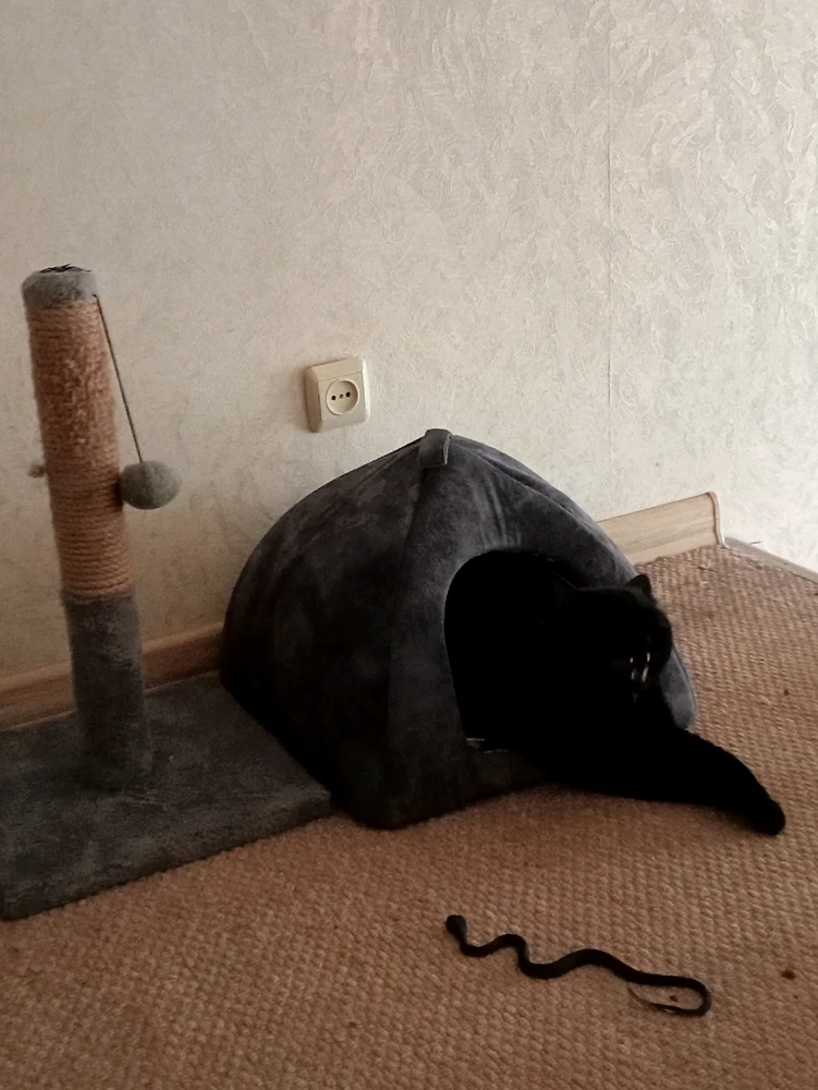 Гіфку завантажив Вікторія