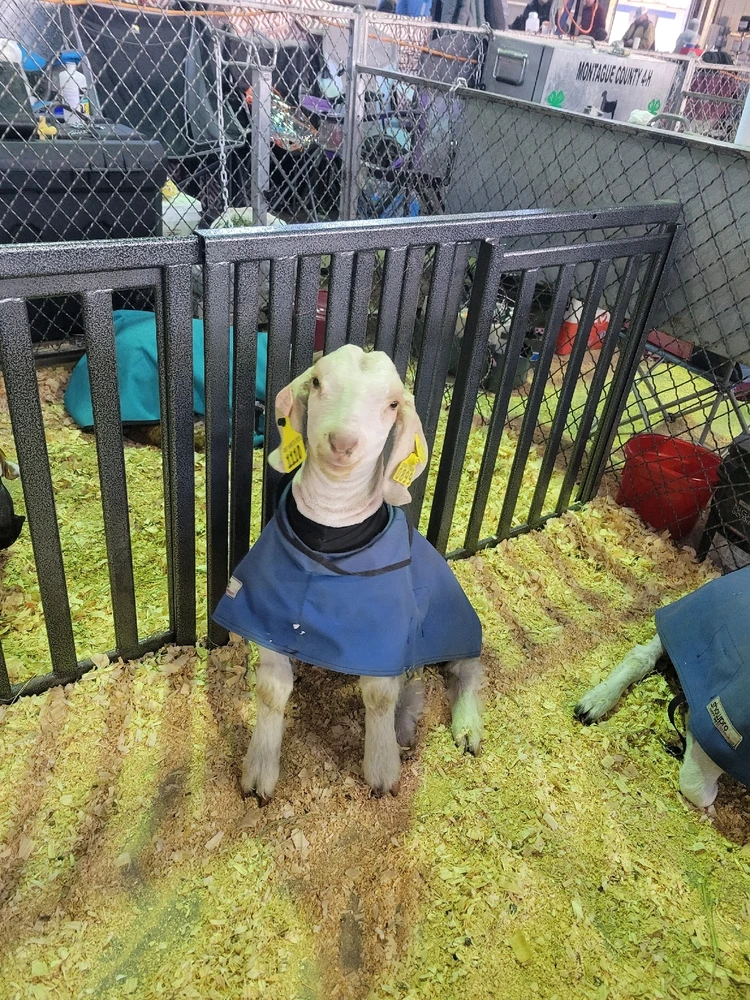 Image uploaded by Maeghan Evans