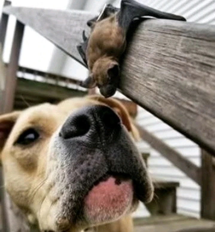 Зображення завантажив Natalia🦇