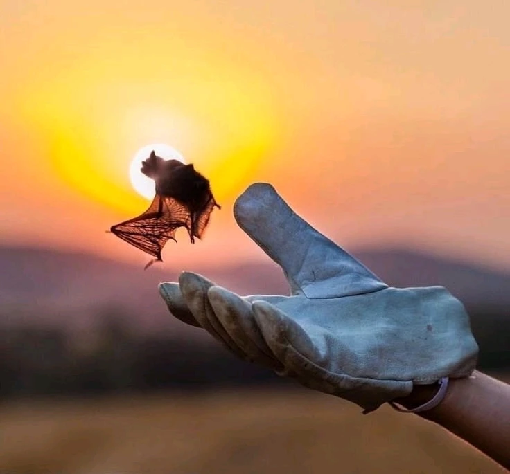 Зображення завантажив Natalia🦇