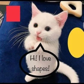 Gambar diunggah dening Cole