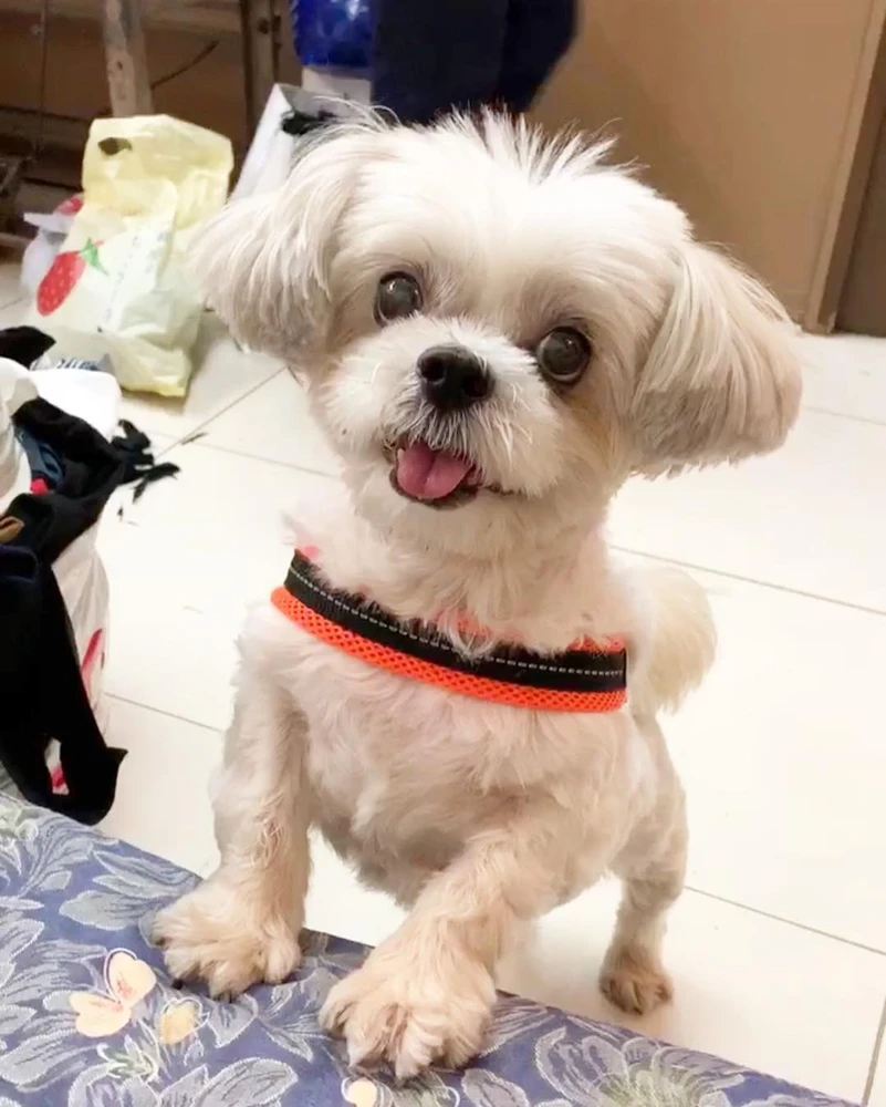 わたなべ かずきがアップロードした画像