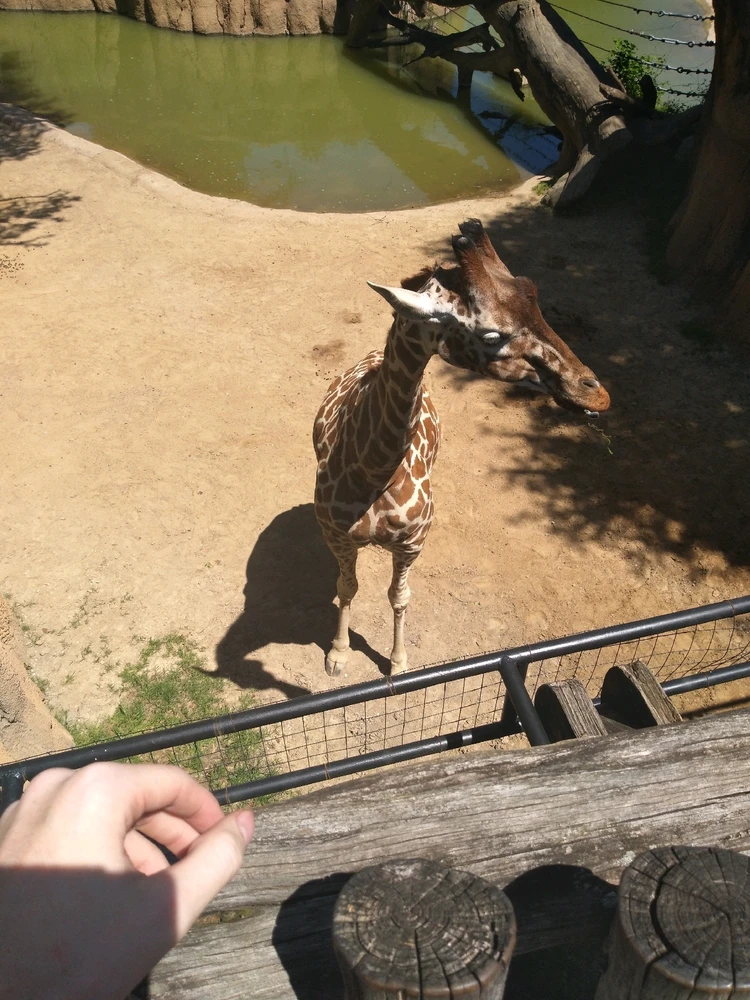 Image uploaded by Caleb Shover