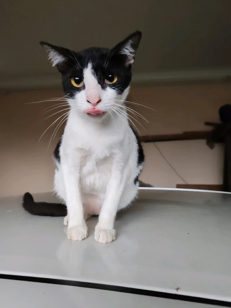 Imej dimuat naik oleh Nawal