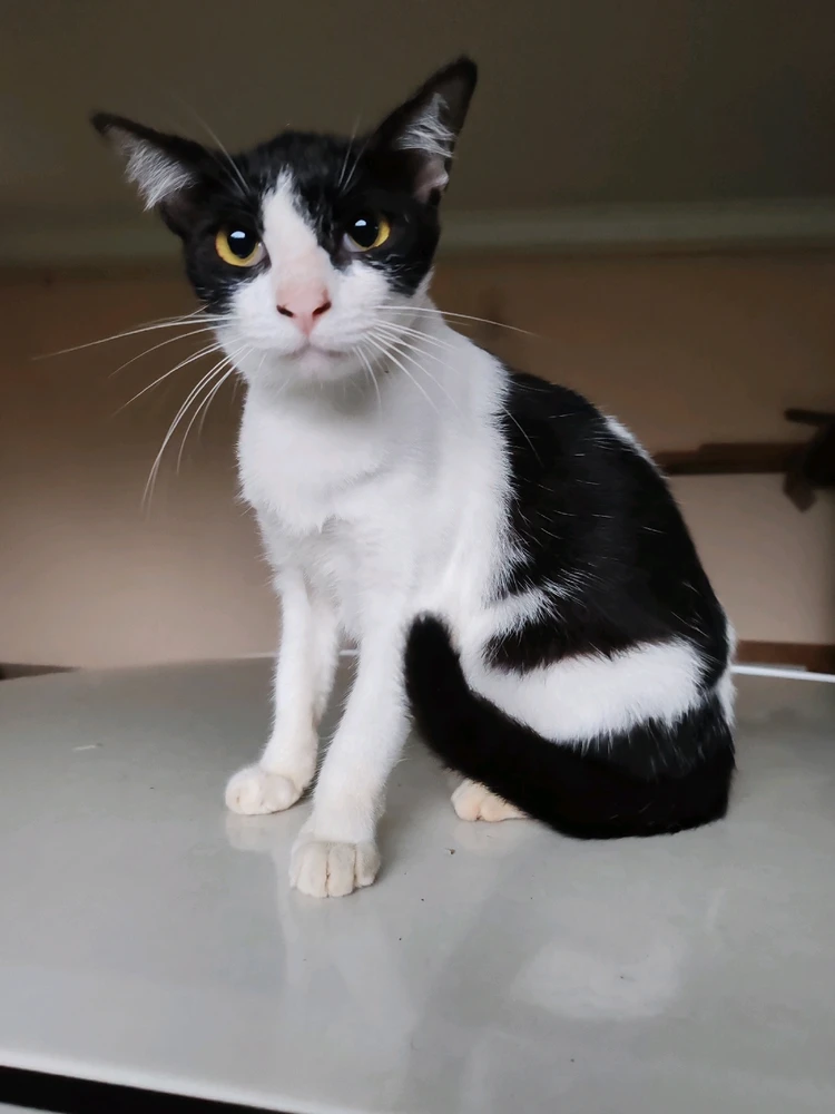 Imej dimuat naik oleh Nawal