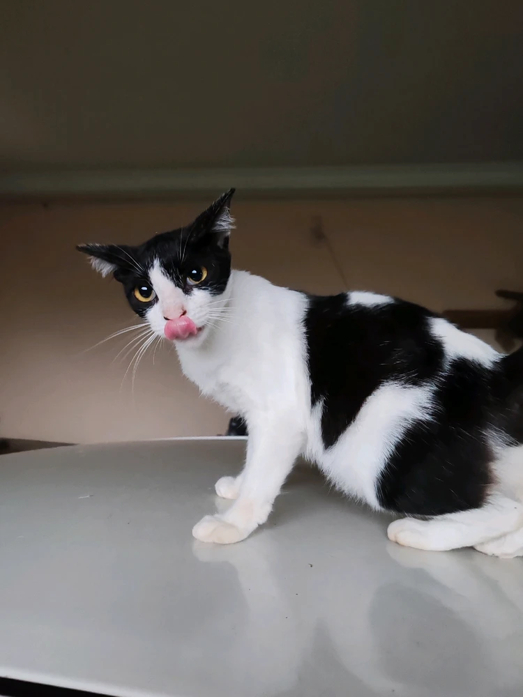 Imej dimuat naik oleh Nawal