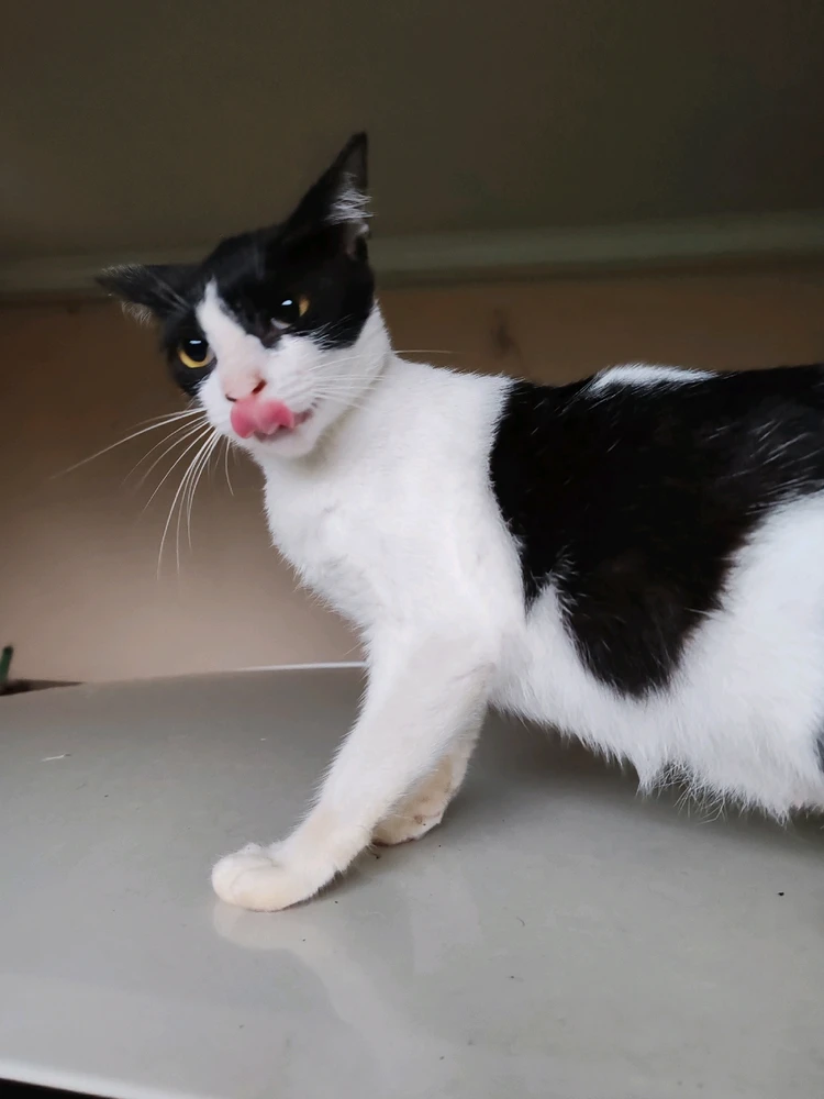 Imej dimuat naik oleh Nawal