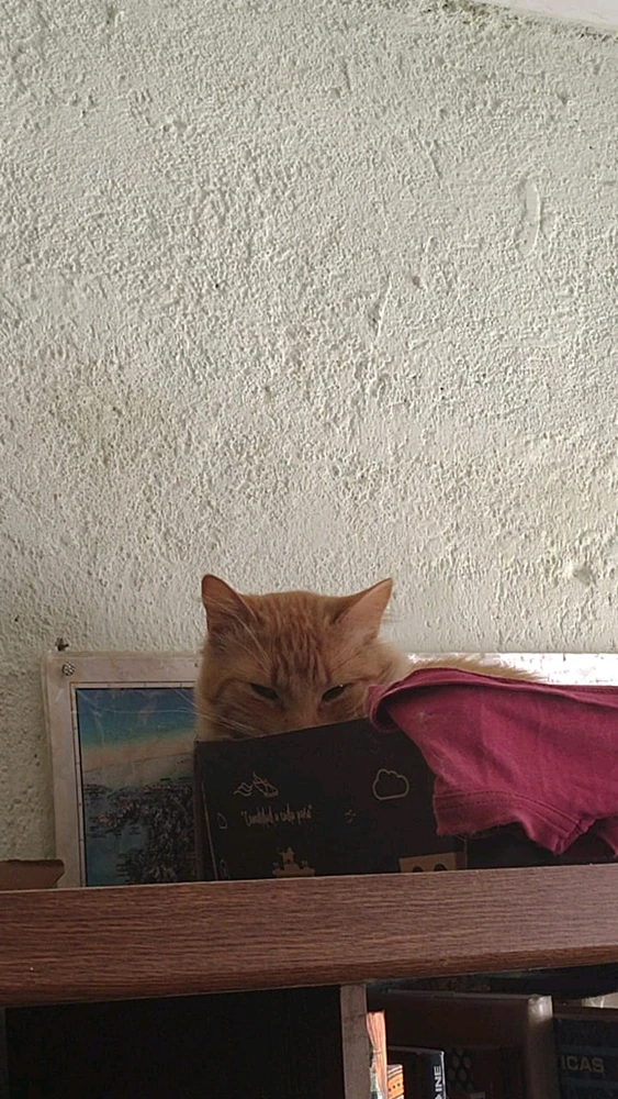 GIF subido por Fabs_Charly