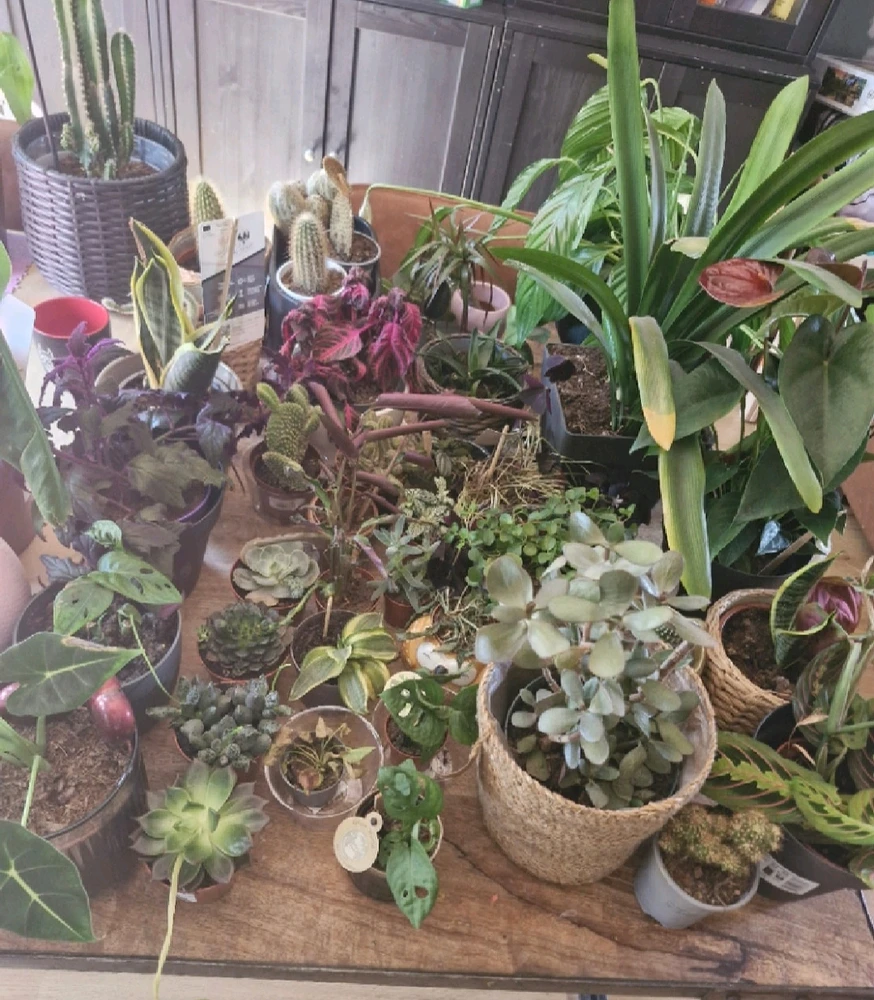 Verslaafd aan groen?