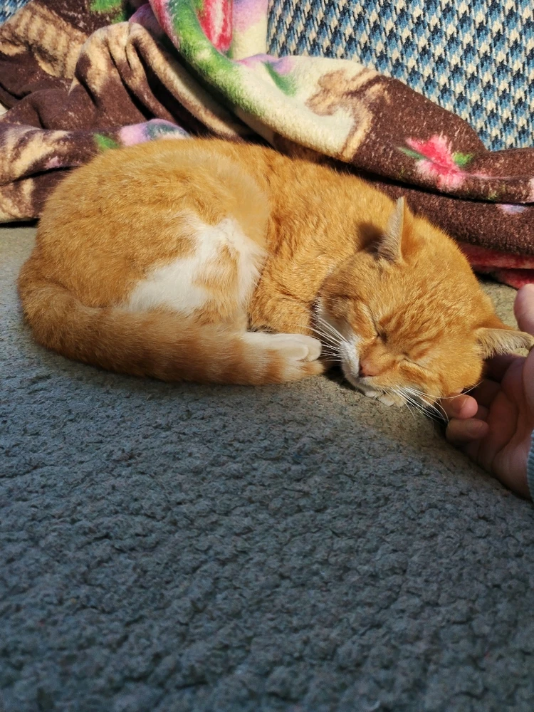 GIF uploaded by Milovan Mitrovic