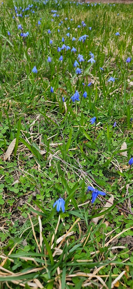 GIF uppladdad av Daniel