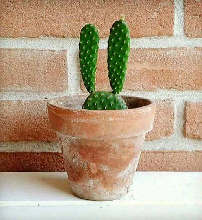 GIF hochgeladen von Doris