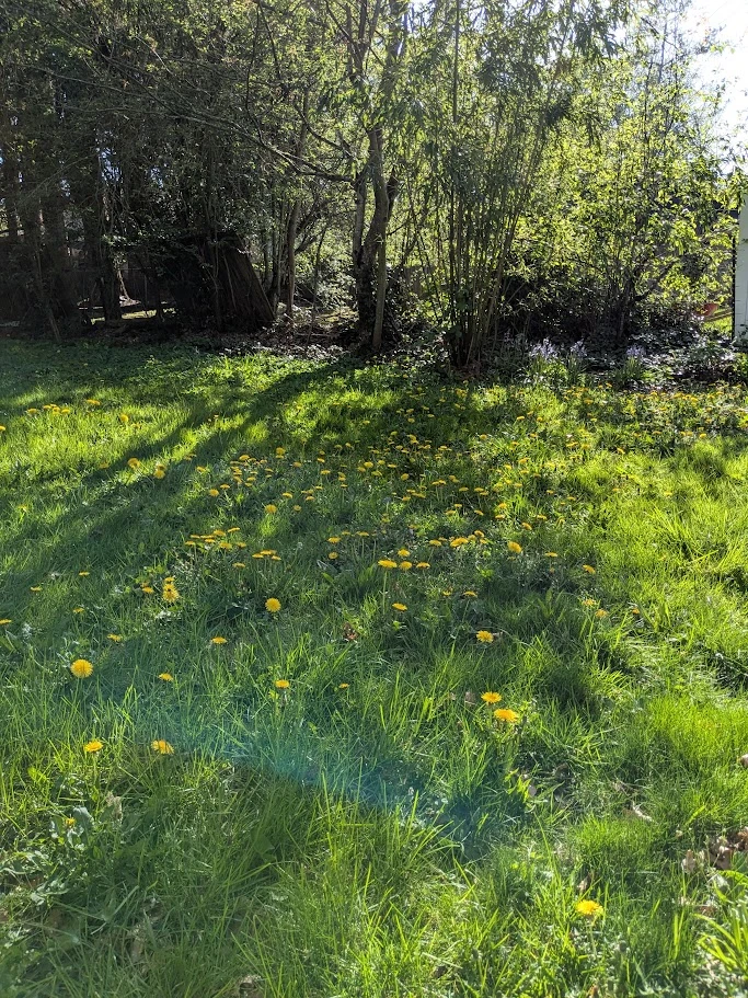 Gambar diunggah dening Andrew