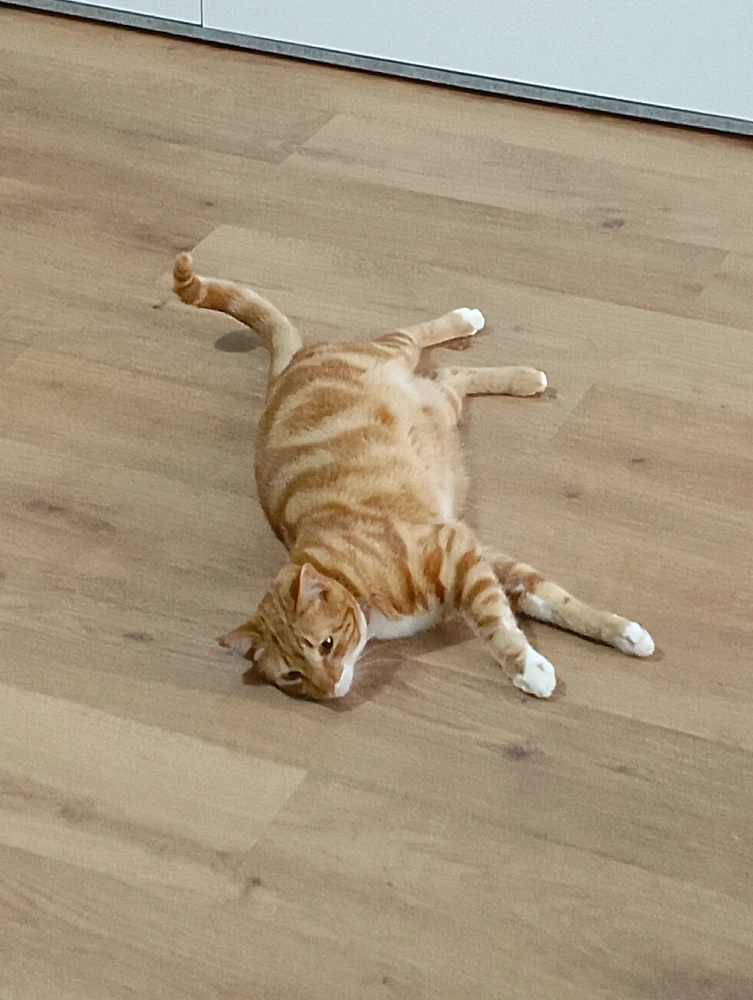 En la cámara no se aprecia, pero...