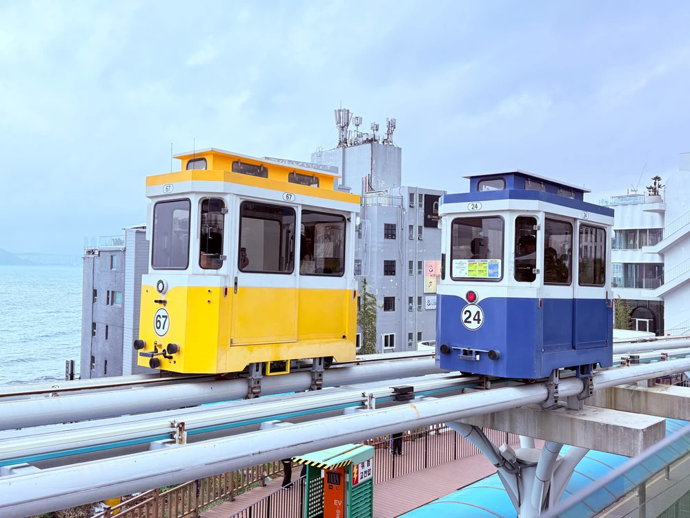 Image uploaded by Eva