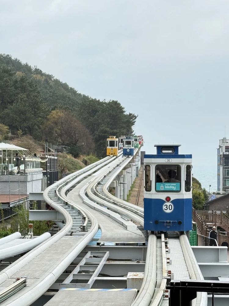 Image uploaded by Eva