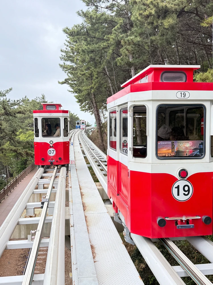 Image uploaded by Eva