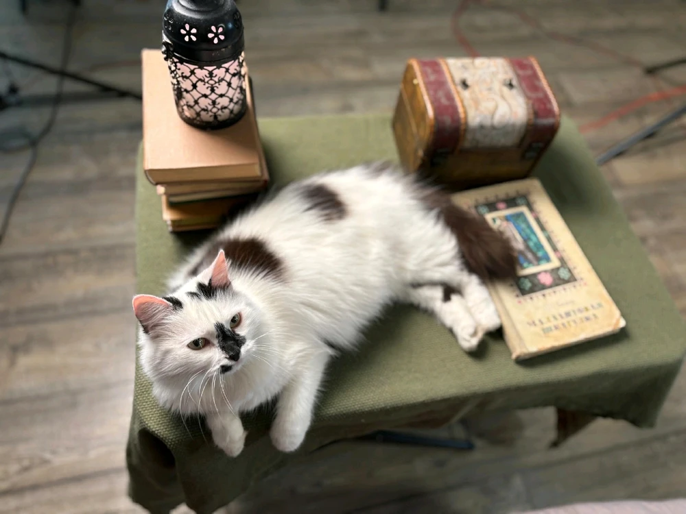 GIF uploaded by Franky