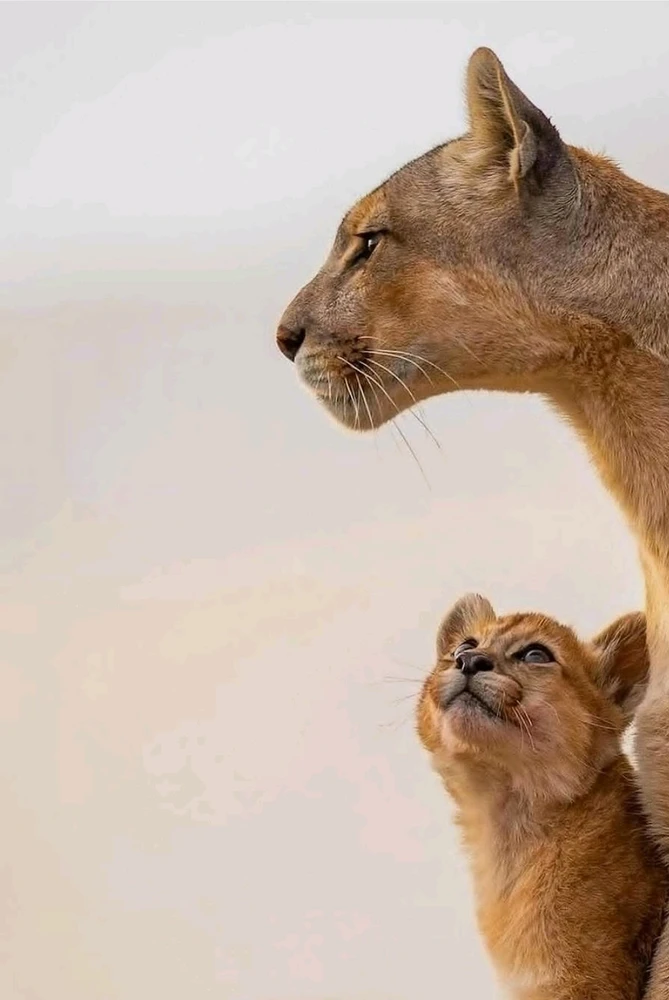 GIF загрузил Полина