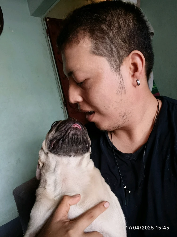 Alexis Mortiz上傳的圖片