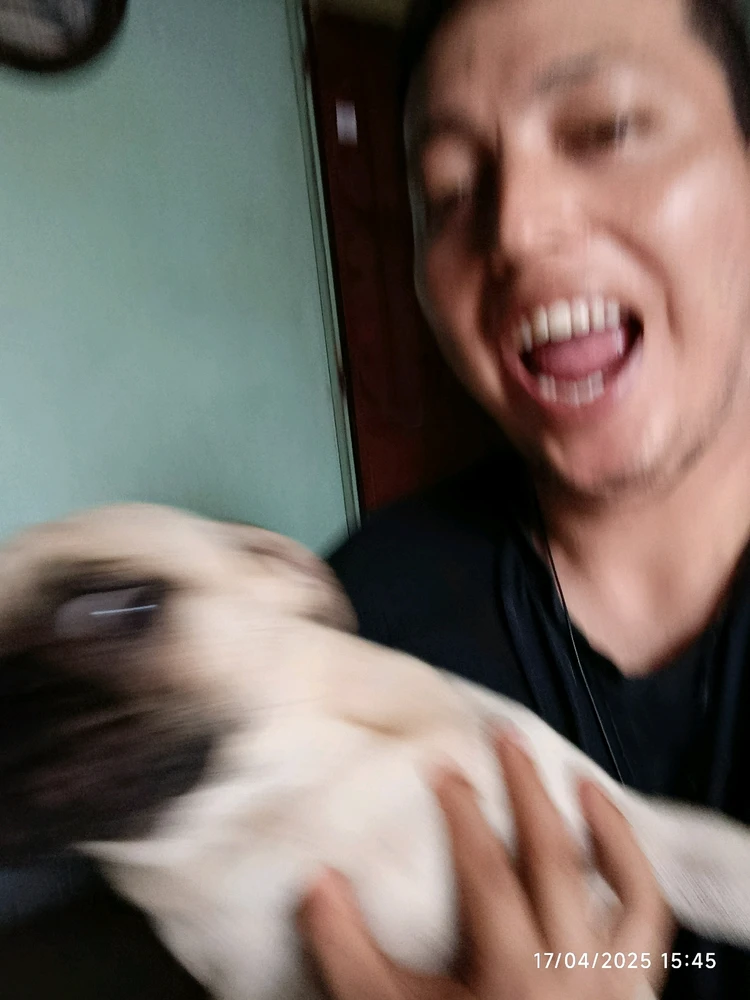 Alexis Mortiz上傳的圖片