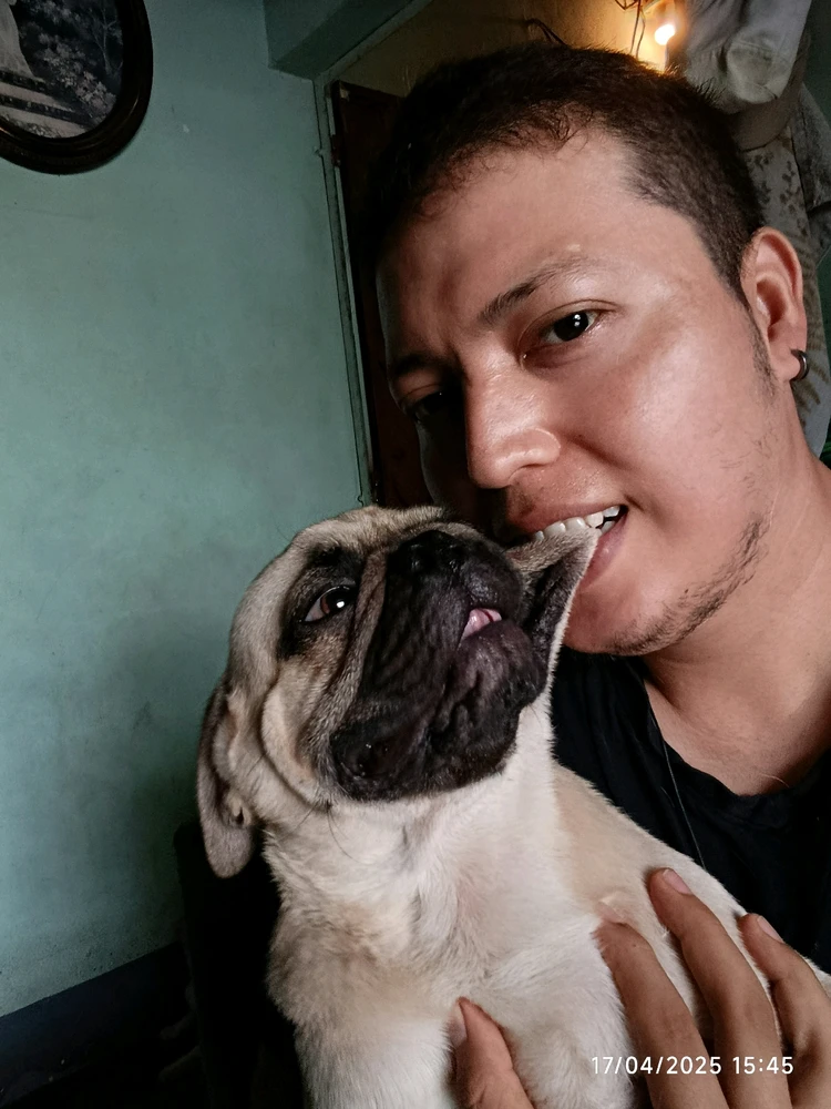 Alexis Mortiz上傳的圖片