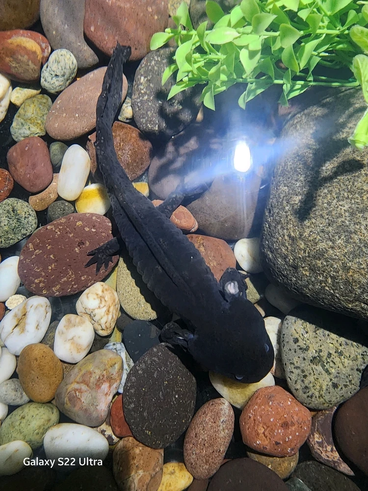 GIF diunggah dening Patth