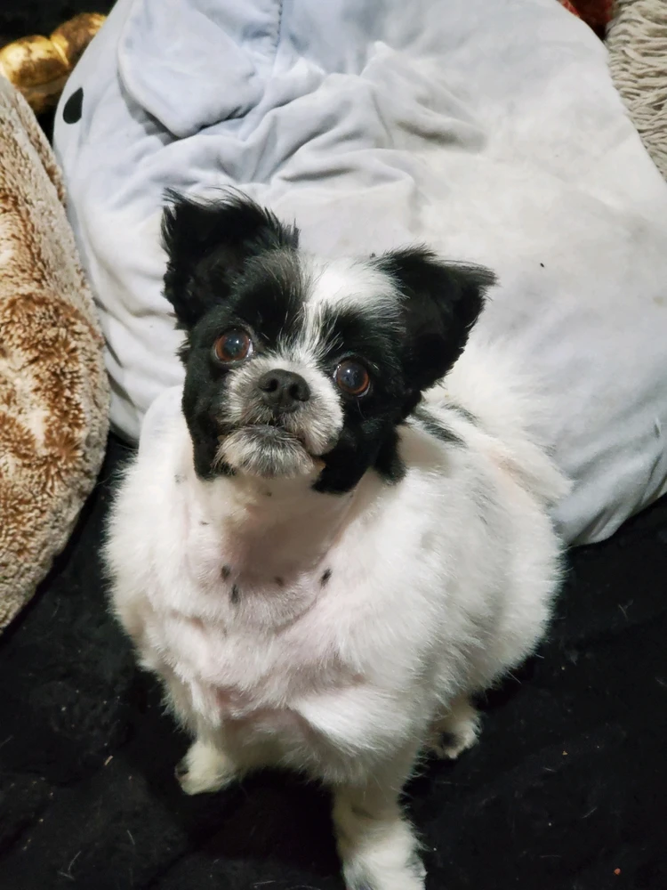 her cheeks are gone😭