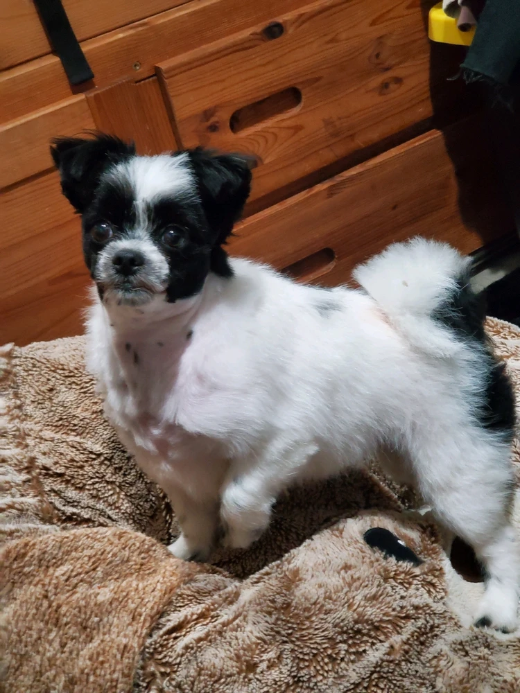 i cant stop fucking laughing