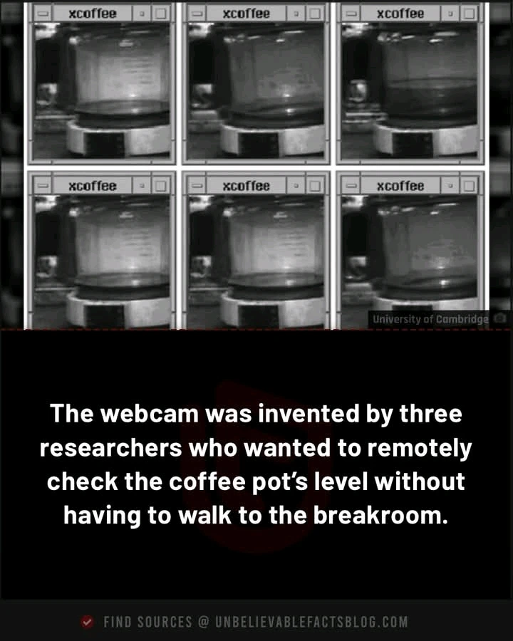 GIF uploaded by TheHappyGuitar