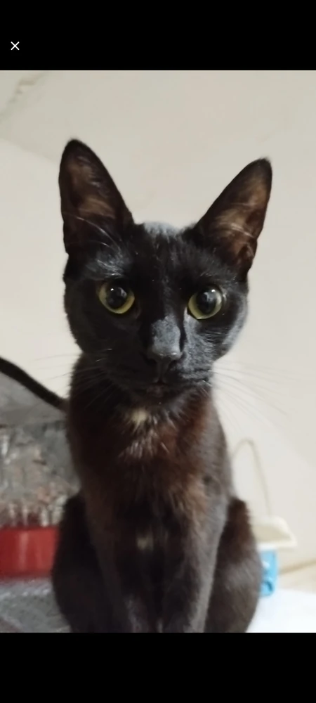 Imagen subida por Sebastián Morris